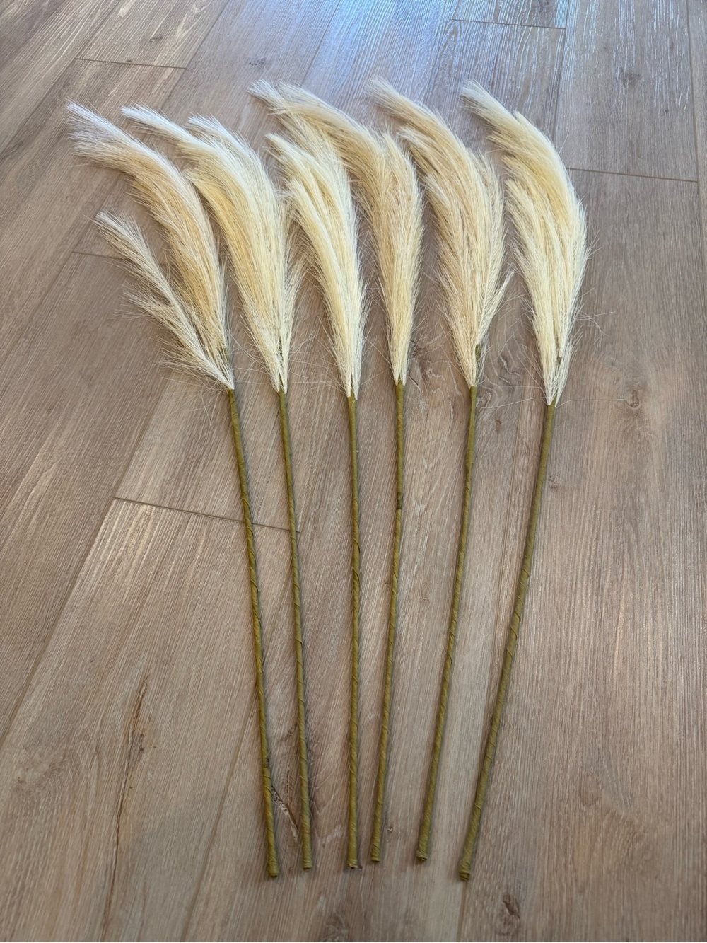 Fall Florals! 6x Kirklands 40” Pampas Grass Stems!